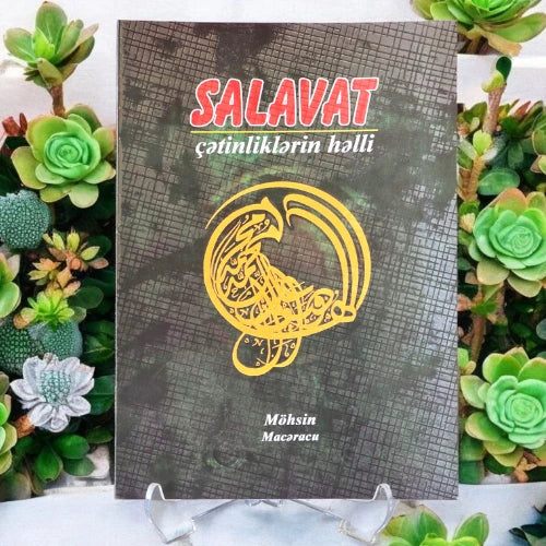 Salavat Çətinliklərin Həlli